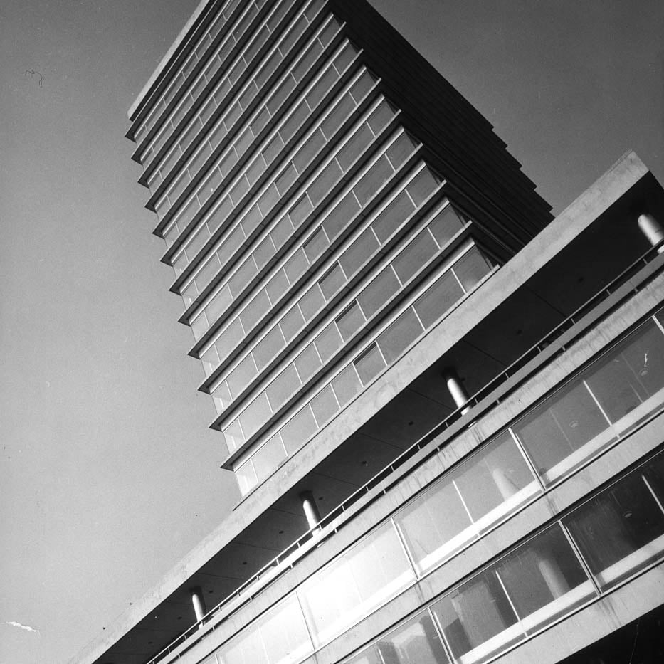 0010_Portfolio-image1-2