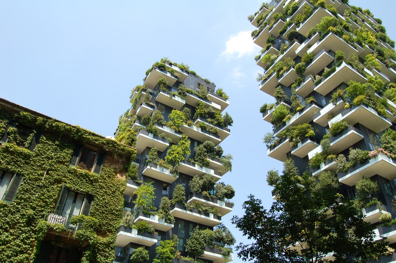 Two residential towers covered with trees