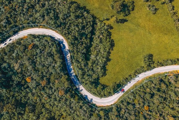 birds eye view of twisting road through woodland